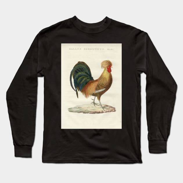 Domestic Hen Long Sleeve T-Shirt by Donkeh23